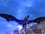 20080820073445-22.jpg