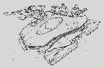 20120505232044-10.jpg